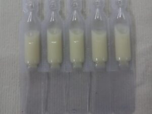 黃茋精華